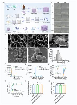 Dual-phase SilMA hydrogel: a dynamic scaffold for sequential drug release and enhanced spinal cord repair via neural differentiation and immunomodulation